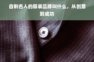 自制名人的服装品牌叫什么，从创意到成功