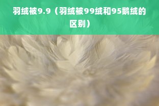 羽绒被9.9（羽绒被99绒和95鹅绒的区别）