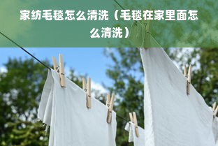 家纺毛毯怎么清洗（毛毯在家里面怎么清洗）