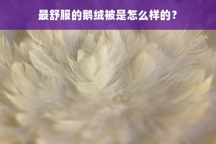 最舒服的鹅绒被是怎么样的？