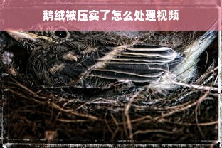 鹅绒被压实了怎么处理视频