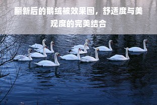 翻新后的鹅绒被效果图，舒适度与美观度的完美结合