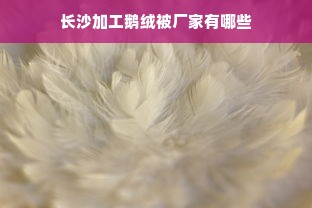 长沙加工鹅绒被厂家有哪些