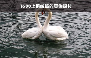 1688上鹅绒被的真伪探讨