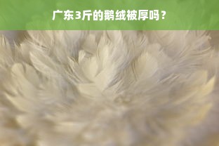 广东3斤的鹅绒被厚吗？