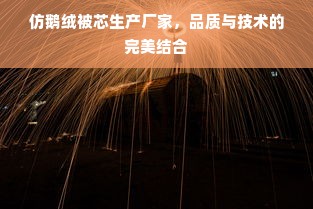 仿鹅绒被芯生产厂家，品质与技术的完美结合