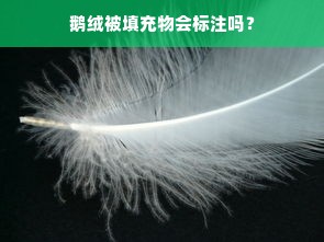 鹅绒被填充物会标注吗？