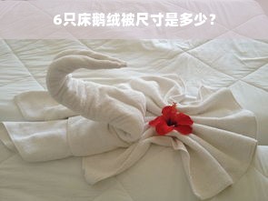 6只床鹅绒被尺寸是多少？