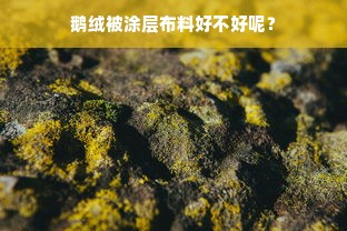 鹅绒被涂层布料好不好呢？