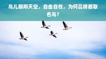 鸟儿翱翔天空，自由自在，为何品牌都取名鸟？