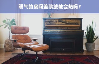 暖气的房间盖鹅绒被会热吗？