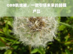 OBB鹅绒被，一款引领未来的睡眠产品