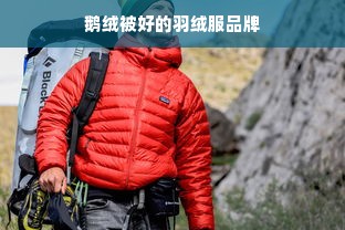 鹅绒被好的羽绒服品牌