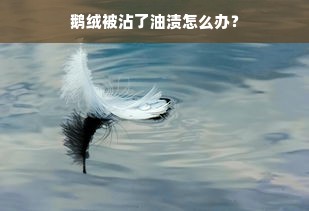 鹅绒被沾了油渍怎么办？