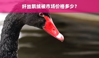 纤丝鹅绒被市场价格多少？