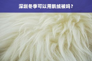 深圳冬季可以用鹅绒被吗？