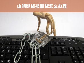 山姆鹅绒被断货怎么办理