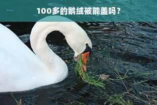 100多的鹅绒被能盖吗？