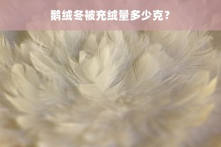 鹅绒冬被充绒量多少克？