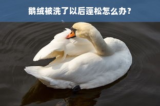 鹅绒被洗了以后蓬松怎么办？