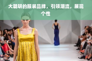 大聪明的服装品牌，引领潮流，展现个性