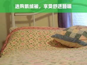 选购鹅绒被，享受舒适睡眠