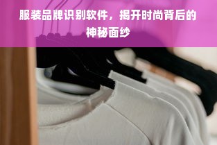 服装品牌识别软件，揭开时尚背后的神秘面纱