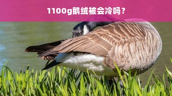 1100g鹅绒被会冷吗？