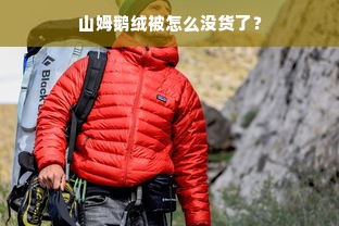 山姆鹅绒被怎么没货了？