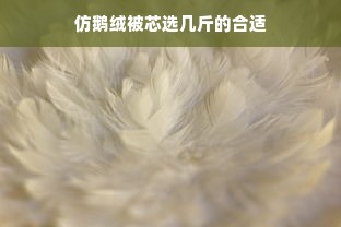 仿鹅绒被芯选几斤的合适