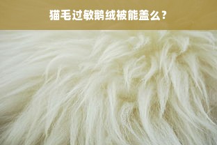 猫毛过敏鹅绒被能盖么？