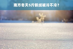 南方冬天5斤鹅绒被冷不冷？