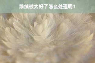 鹅绒被太好了怎么处理呢？