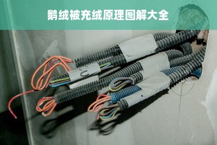 鹅绒被充绒原理图解大全