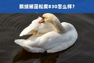 鹅绒被蓬松度830怎么样？