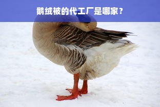 鹅绒被的代工厂是哪家？