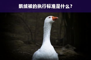 鹅绒被的执行标准是什么？