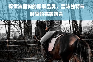 探索法国狗的服装品牌，品味独特与时尚的完美结合