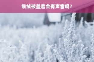 鹅绒被盖着会有声音吗？