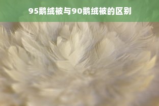 95鹅绒被与90鹅绒被的区别