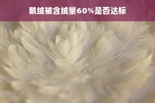 鹅绒被含绒量60%是否达标