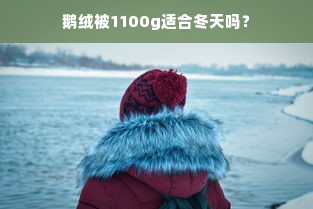 鹅绒被1100g适合冬天吗？