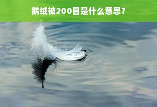 鹅绒被200目是什么意思？