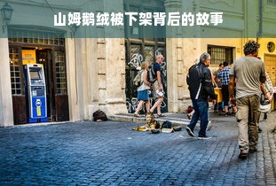 山姆鹅绒被下架背后的故事