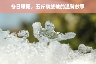 冬日暖阳，五斤鹅绒被的温馨故事