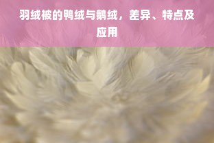 羽绒被的鸭绒与鹅绒，差异、特点及应用