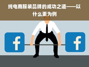 纯电商服装品牌的成功之道——以什么素为例