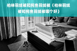 柏林羽绒被和鳄鱼羽绒被（柏林羽绒被和鳄鱼羽绒被哪个好）