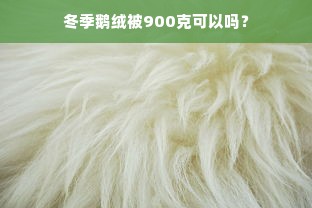 冬季鹅绒被900克可以吗？