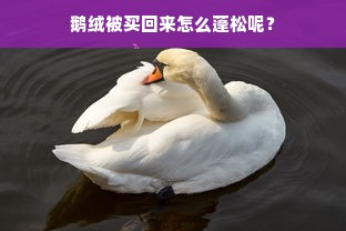 鹅绒被买回来怎么蓬松呢？